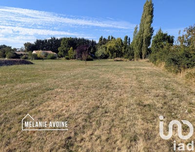 /international/fr/cire-d-aunis-charente-310097210255/