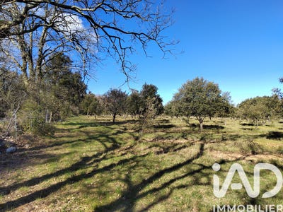 /international/fr/laval-saint-roman-languedoc-roussillon-310108211552/