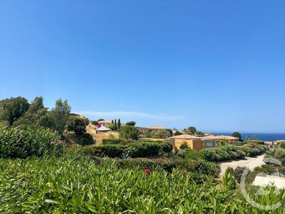 /international/fr/lumio-corsica-310110159661/