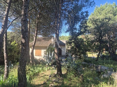 /international/fr/gigean-languedoc-roussillon-310108154374/