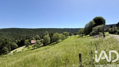 /international/fr/dabo-lorraine-310108418286/