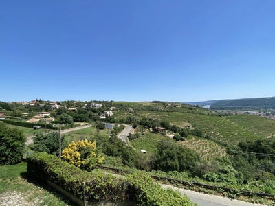 /international/fr/vienne-rhone-120094533593/
