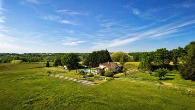 /international/fr/panjas-midi-pyrenees-310108003162/