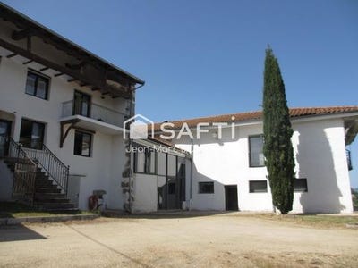 /international/fr/saint-pierre-le-vieux-burgundy-310108404807/