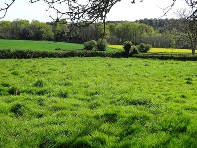 /international/fr/rieux-brittany-310104523128/