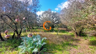 /international/fr/saint-siffret-languedoc-roussillon-310102891942/