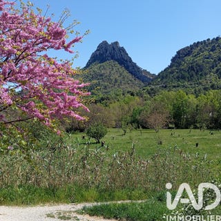 /international/fr/buis-les-baronnies-rhone-310107411271/