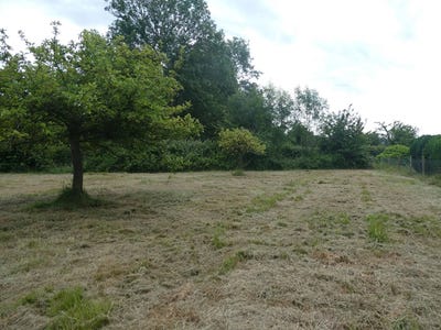 /international/fr/pont-l-eveque-la-basse-normandie-310109310827/