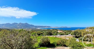 /international/fr/lumio-corsica-310110161184/