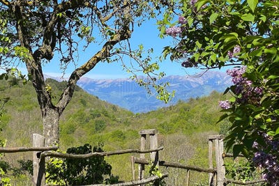 /international/fr/saint-laurent-de-cerdans-languedoc-roussillon-120092132253/?lang=zh-cn