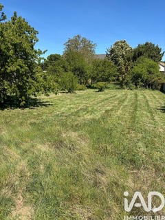 /international/fr/joigny-burgundy-310108048155/
