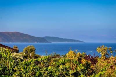 /international/fr/coggia-corsica-310099629424/?lang=zh-tw