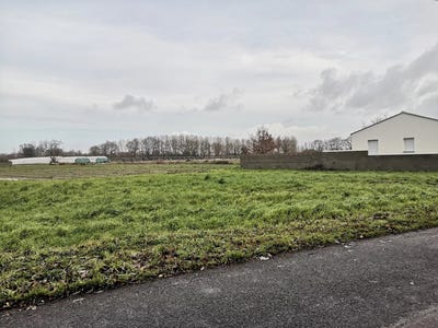 /international/fr/challans-pays-de-la-loire-310097271901/