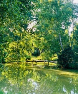 /international/fr/teillay-brittany-310101381410/