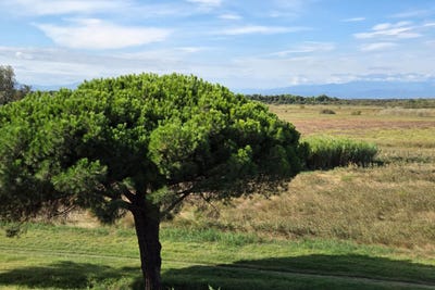 /international/fr/canet-en-roussillon-languedoc-roussillon-310119979999/