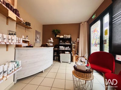 /international/fr/saint-vivien-de-medoc-aquitaine-310107470637/