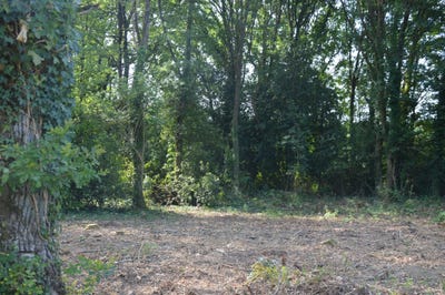 /international/fr/saint-georges-de-pointindoux-pays-de-la-loire-310105057764/