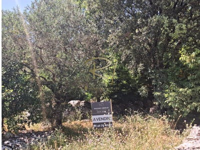 /international/fr/labeaume-rhone-310100460098/