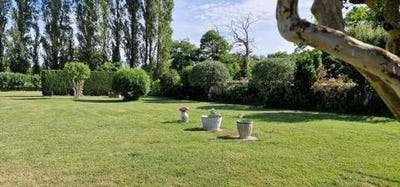 /international/fr/montpellier-de-medillan-charente-310108290170/