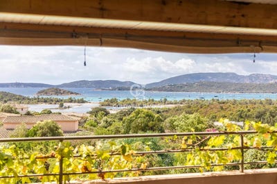 /international/fr/porto-vecchio-corsica-310108676059/