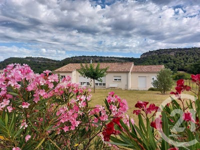 /international/fr/chusclan-languedoc-roussillon-310107566203/