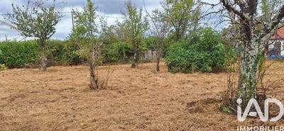 /international/fr/mosnay-centre-val-de-loire-310106414308/