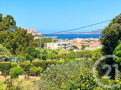 /international/fr/calvi-corsica-310110159113/