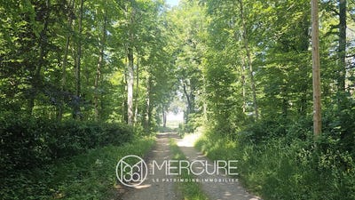 /international/fr/castres-midi-pyrenees-310108291363/?lang=th