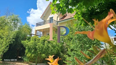 /international/fr/paray-le-monial-burgundy-310108647985/