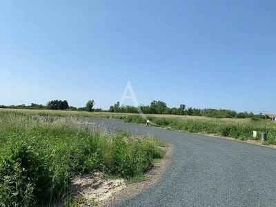 /international/fr/grues-pays-de-la-loire-310106398853/