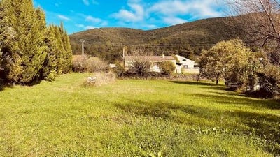 /international/fr/saint-florent-sur-auzonnet-languedoc-roussillon-310106996126/