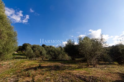 /international/fr/bastelicaccia-corsica-310106991103/