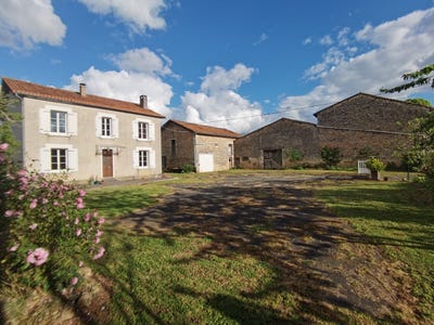 /international/fr/la-tache-aoc-charente-310107922206/