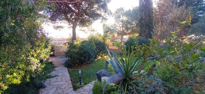/international/fr/marseillan-languedoc-roussillon-310098707066/