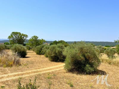 /international/fr/tavernes-provence-alpes-cote-d-azur-310100442005/