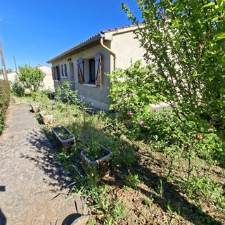 /international/fr/realmont-midi-pyrenees-310104173376/