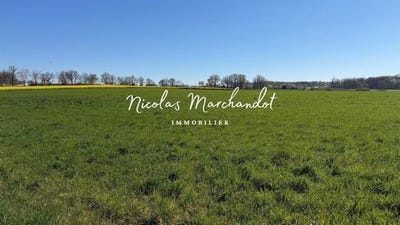 /international/fr/naucelle-midi-pyrenees-310105833303/