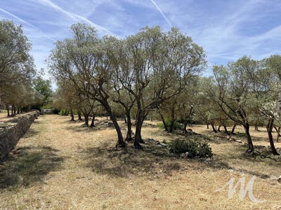 /international/fr/varages-provence-alpes-cote-d-azur-310108703912/