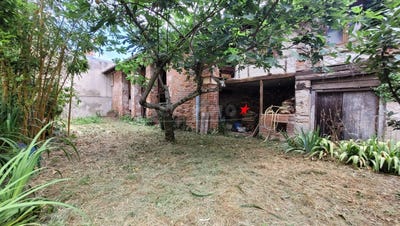 /international/fr/graulhet-midi-pyrenees-310101182162/
