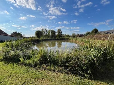 /international/fr/nevers-burgundy-120094834598/