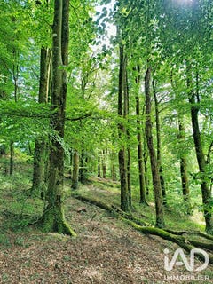 /international/fr/saint-martin-des-pres-brittany-310108893415/