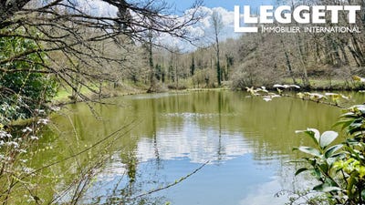 /international/fr/pressignac-charente-310099612187/