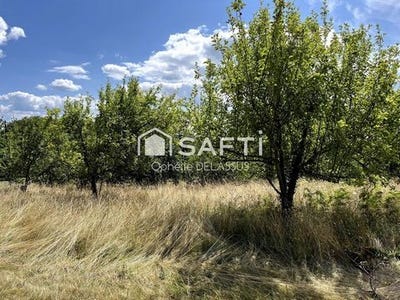 /international/fr/saint-clement-limousin-310098879342/