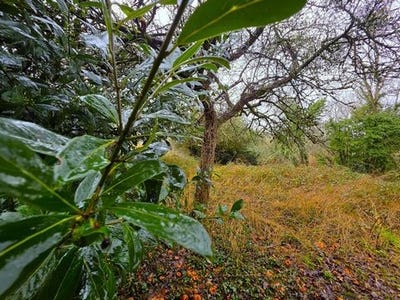 /international/fr/la-fleche-pays-de-la-loire-310104959098/