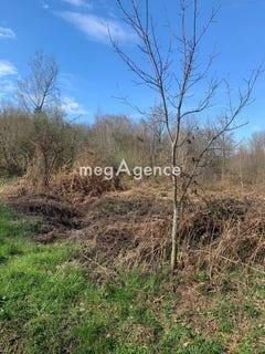 /international/fr/bauge-en-anjou-pays-de-la-loire-310100742714/