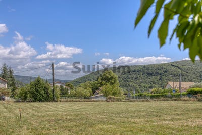 /international/fr/branoux-les-taillades-languedoc-roussillon-310105418747/
