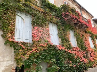 /international/fr/molieres-rhone-310100084459/