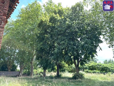 /international/fr/mazeres-aquitaine-310109126771/