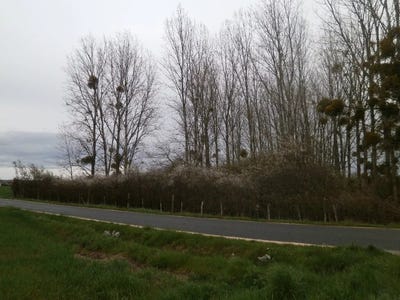 /international/fr/saint-georges-sur-la-pree-centre-val-de-loire-310098875809/