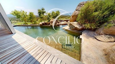 /international/fr/lecci-corsica-310104490198/